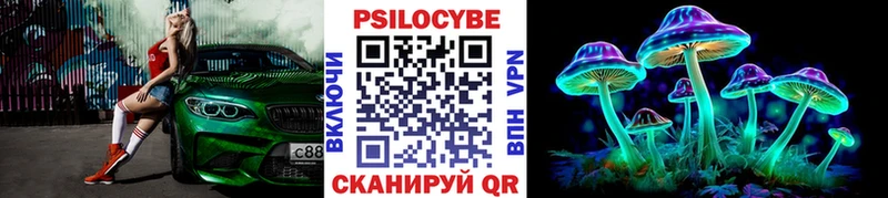 купить  цена  Истра  Псилоцибиновые грибы мицелий 
