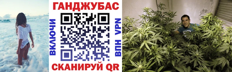 МАРИХУАНА гибрид  Истра 